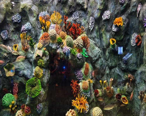 Colourful reef platforms in the fictional Coral Step Adventure game